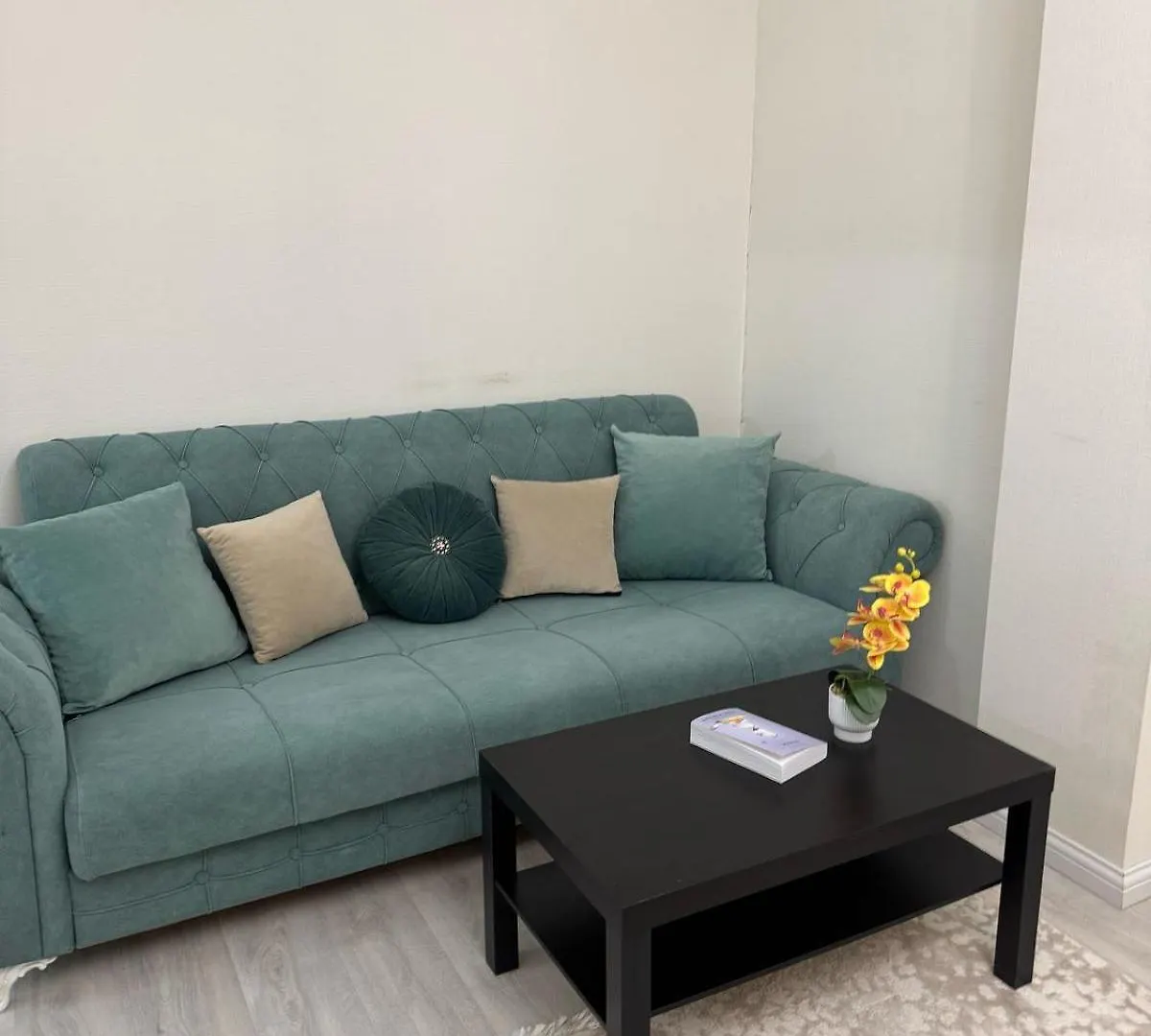 Cosy flat in the city center Nur-Sultan  0*, Nur-Sultan (Astana) Kazakhstan